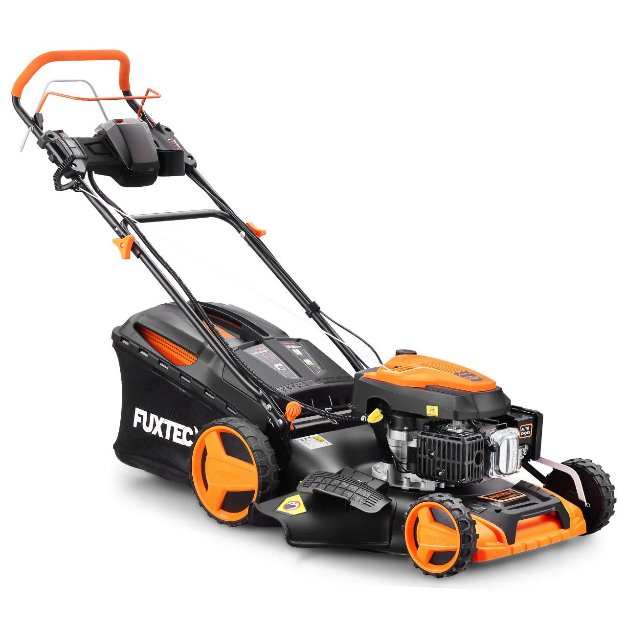 Miniatura 11