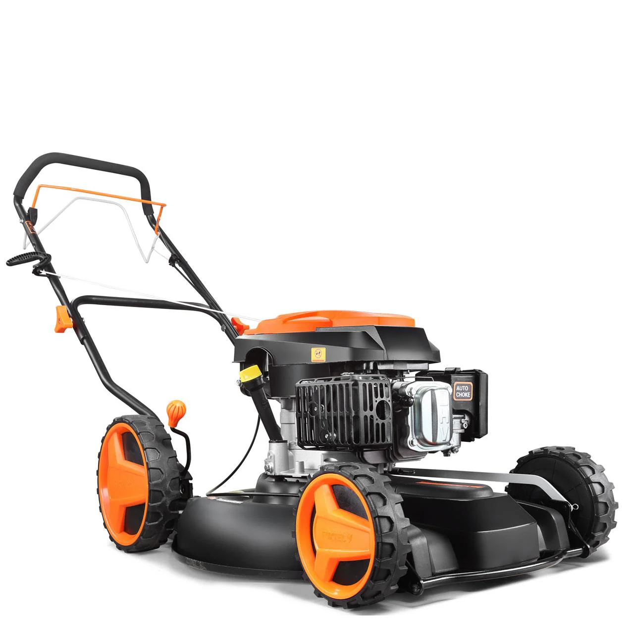 Miniatura 8